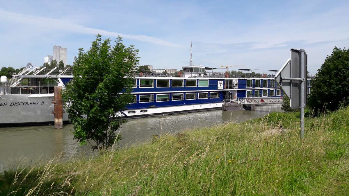 bateau de croisière sur le Rhin à Strasbourg