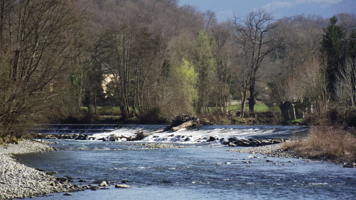 Le Gave de Pau, un affluent de la Nivelle : rivière très large et peu profonde
