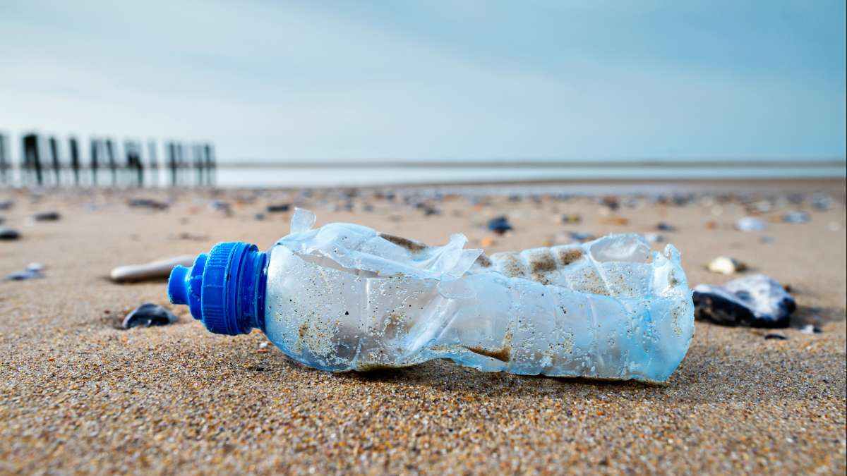pollution plastique sur une plage