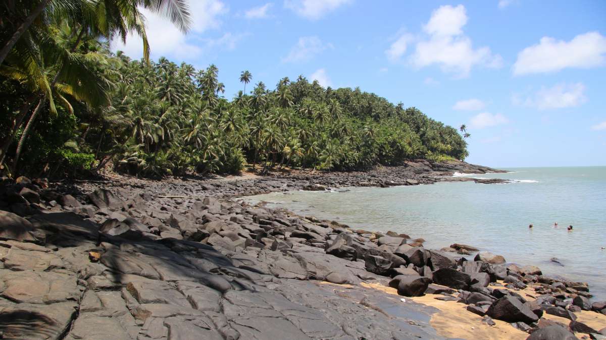 Vue du littoral de Guyane avec des palmiers et une plage rocheuse