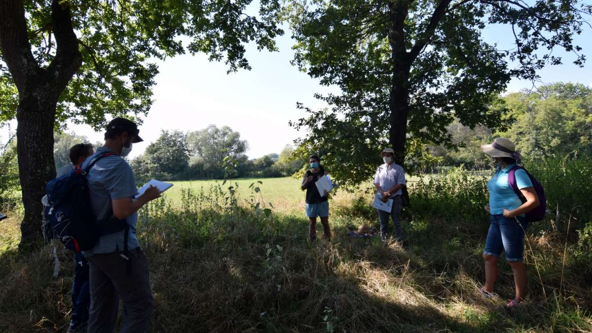 Visite inspirante à Muttersholz dans une zone de prairie