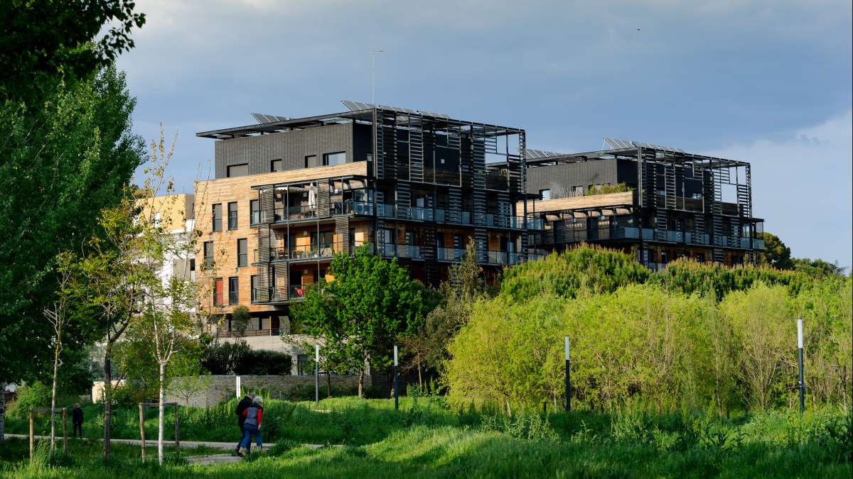 Zone de nature dans un écoquartier à Montpellier avec les immeubles au second plan