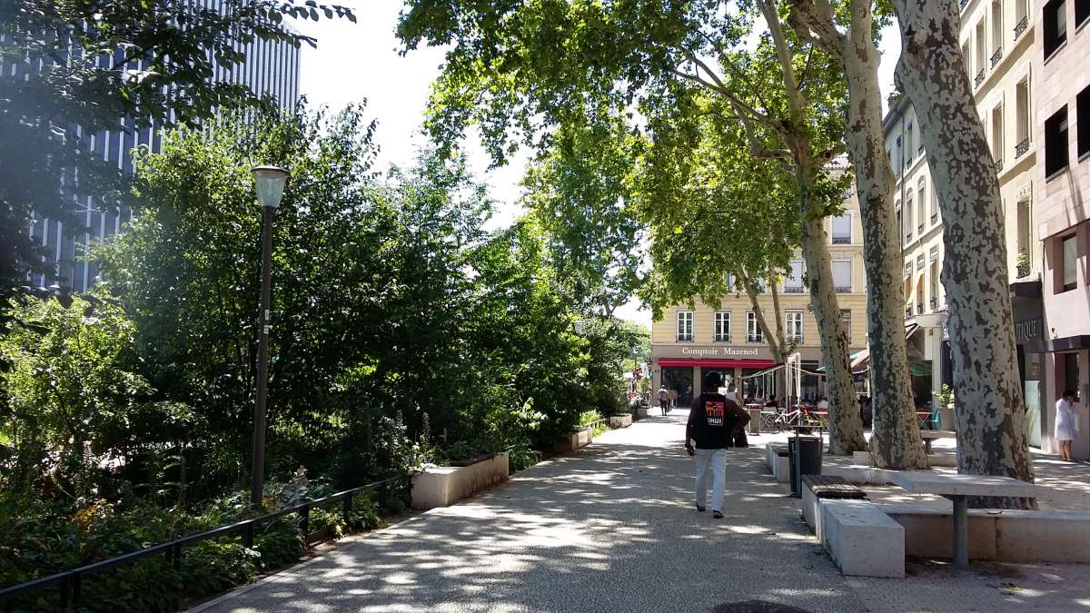 Vue d'un trottoir rue Garibaldi à Lyon, avec une rangée d'arbustes d'un coté et des arbres de l'autre