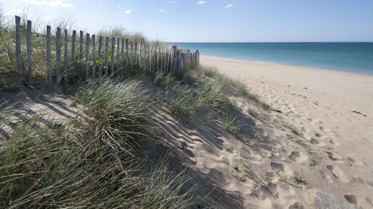 Dune blanche protégée sur le littoral du Morbihan