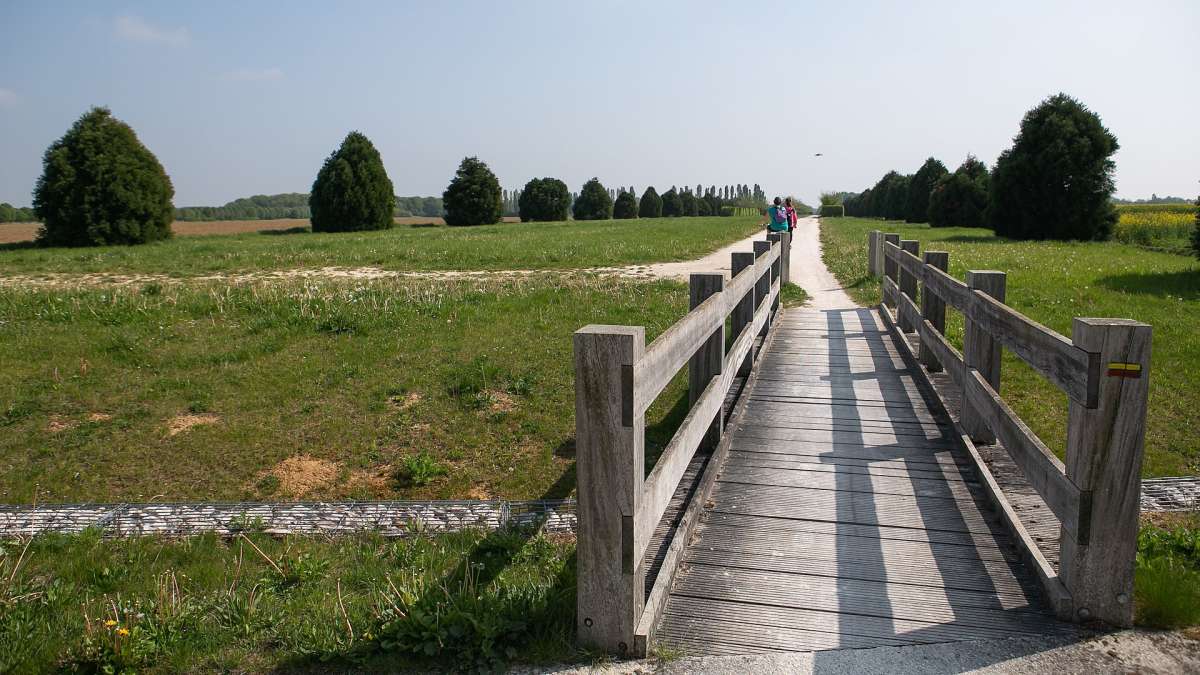 Vu d'une passerelle dans une plaine naturelle de l'Essonne avec un chemin de randonnée