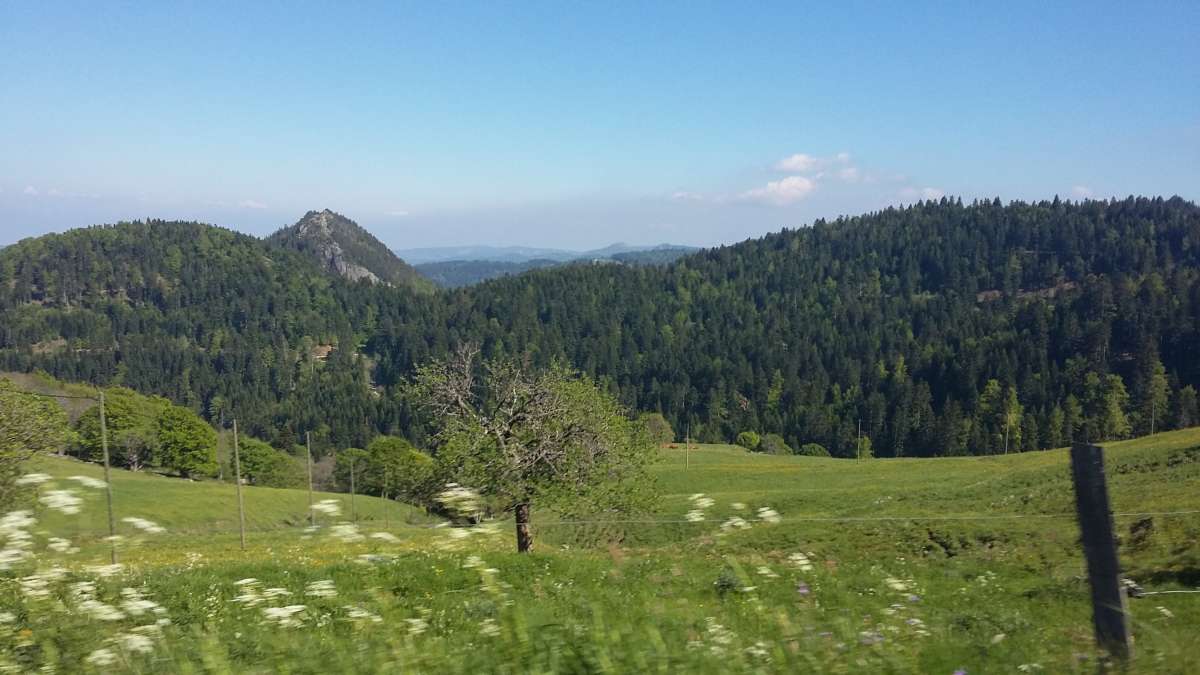 Paysage de montagnes basses en Ardèche, en été avec des prairies
