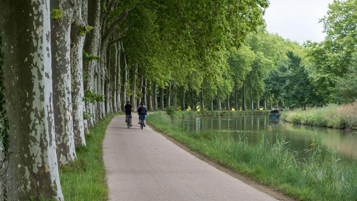 Cyclistes en zone rurale le long du canal du Midi