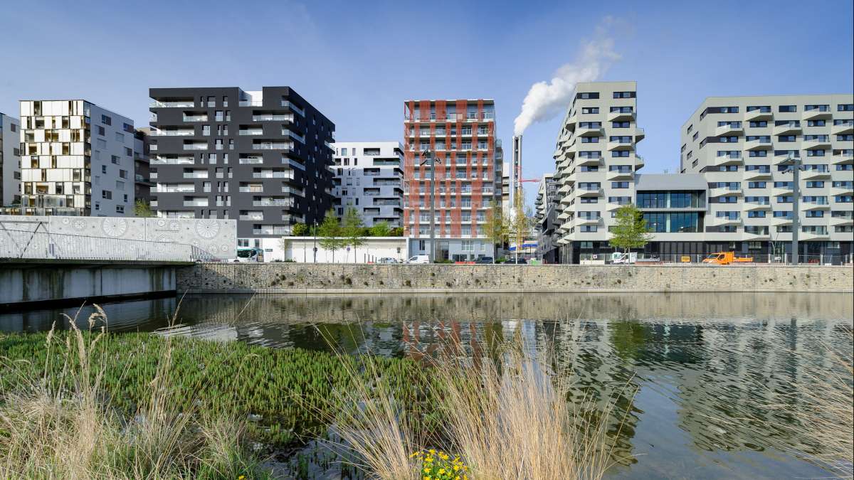 Eco quartier fluvial, vue des immeubles derrières les anciens docks conservés en zone humide