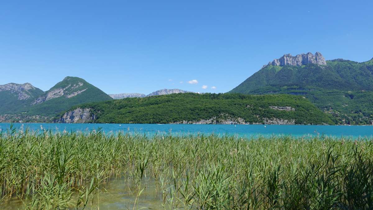 Une étude du Cerema pour évaluer le besoin de compensation des zones humides (bassin du Fier et lac d’Annecy)