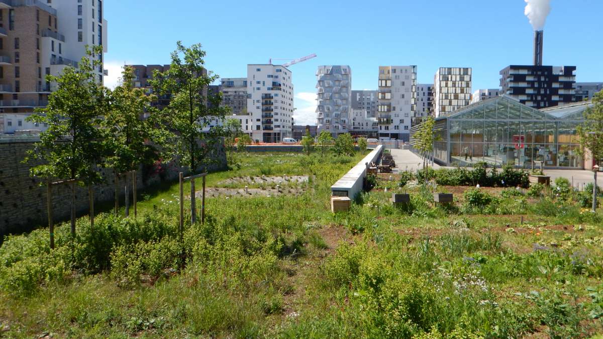 Jardins collectifs à Saint-Ouen entourés d'immeubles
