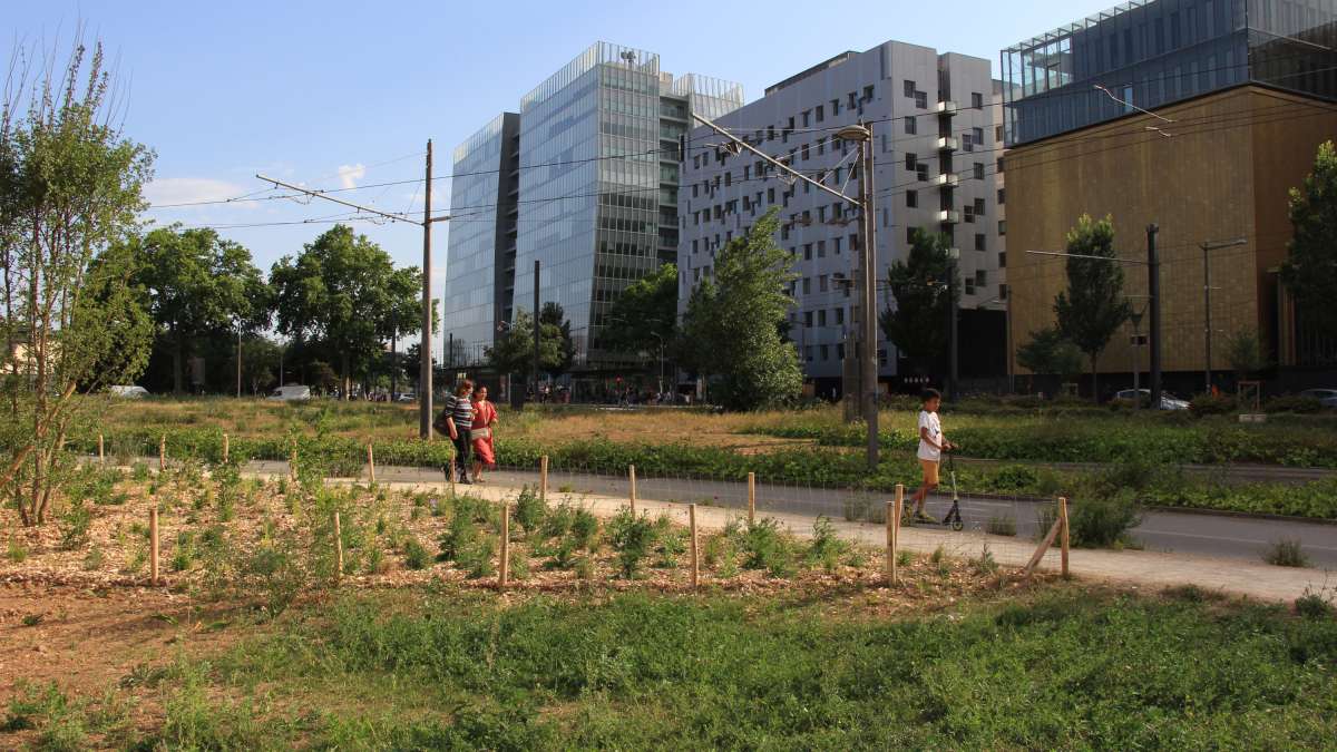 Lyon espace vert rendu à la nature en centre ville