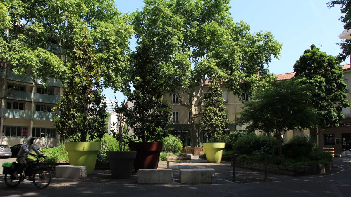 Lyon rond point végétalisé avec des arbres en pots et de l'herbe