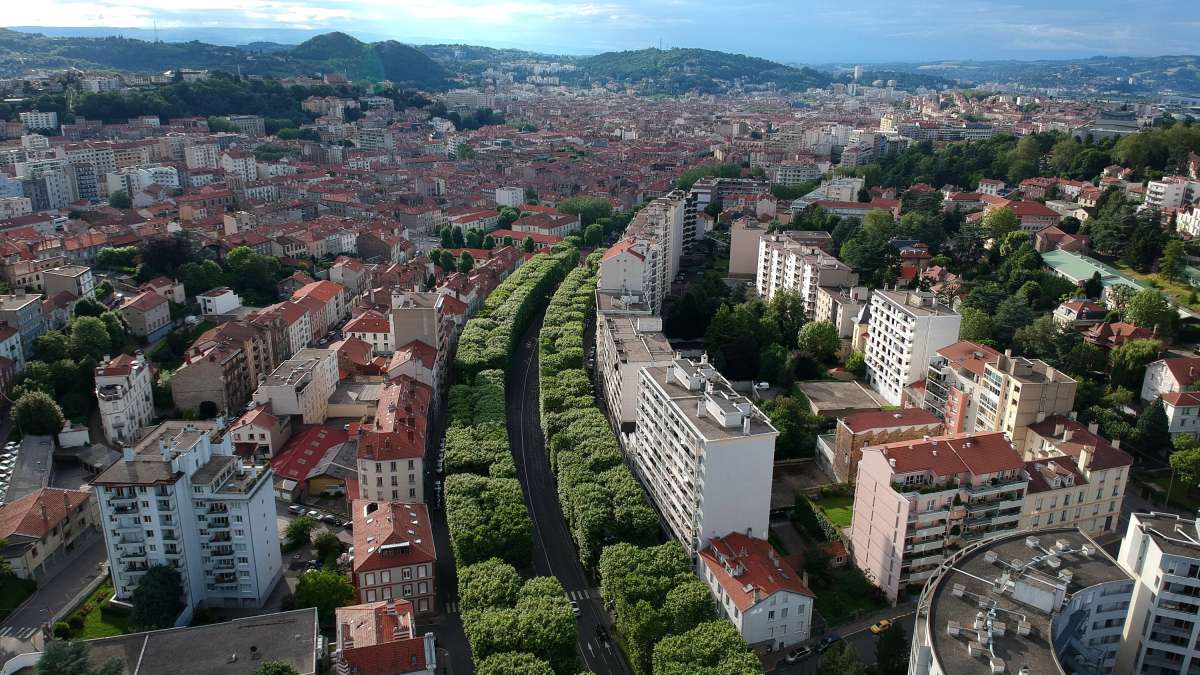 Avenue arborée dans la ville de Saint Etienne (vue aérienne)