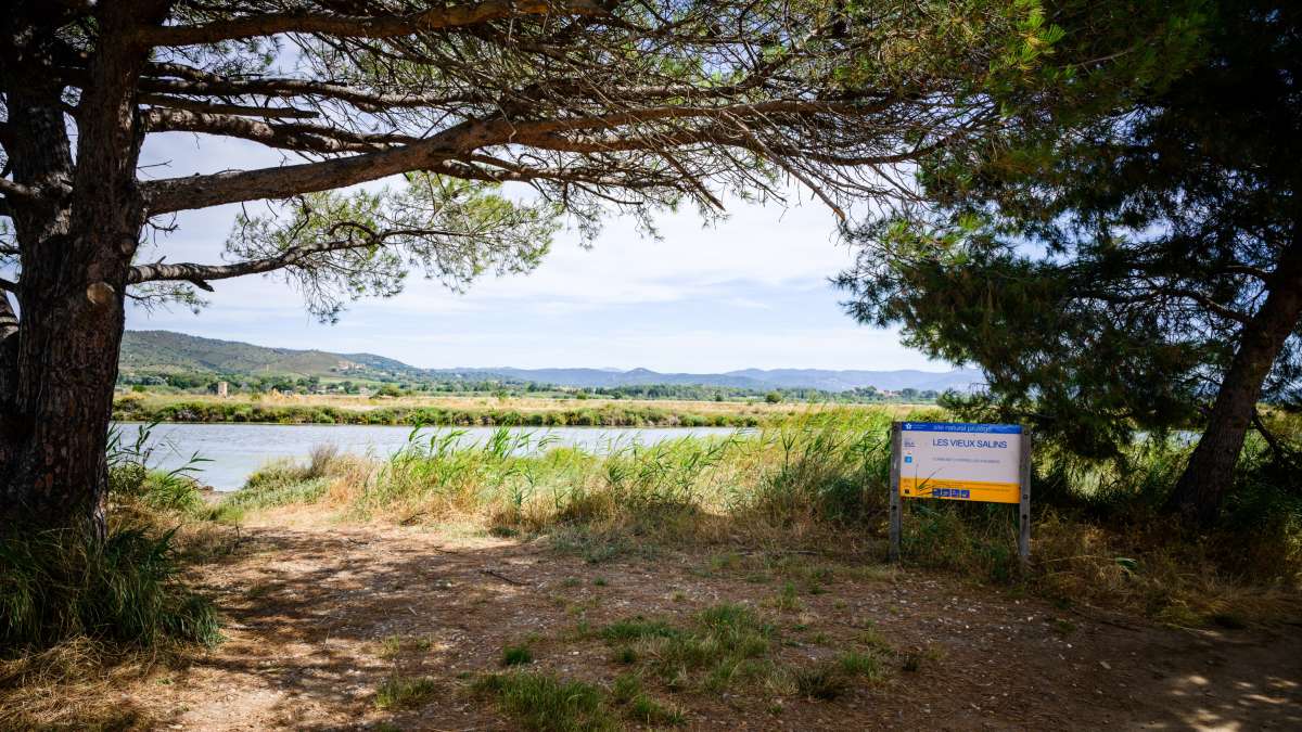 Vieux salins d'Hyères 