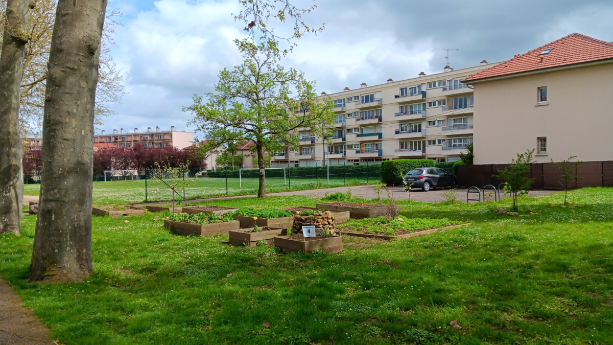 Biodiversité en zone urbaine 