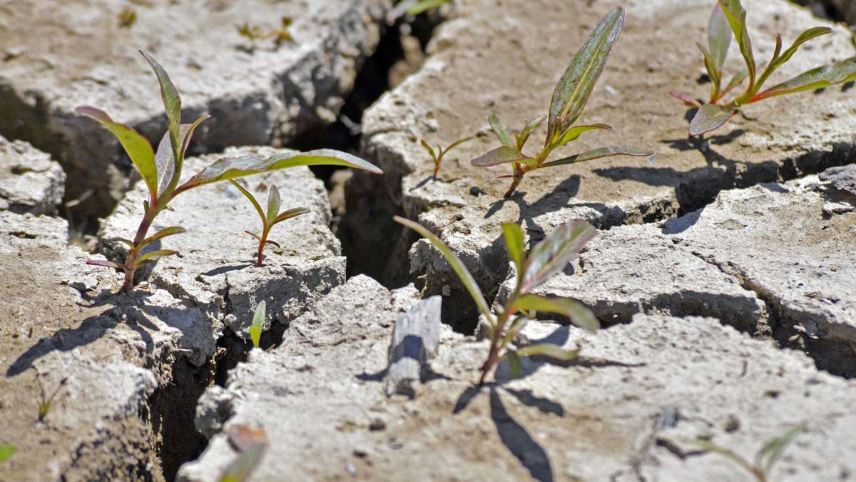 n outil d’aide à la décision pour identifier les secteurs à renaturer sur le territoire de Carcassonne Agglo