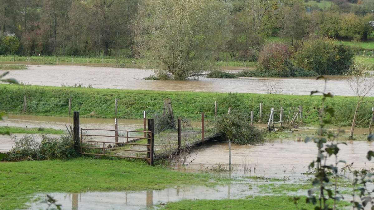 Zone d'expansion des crues à Bergues