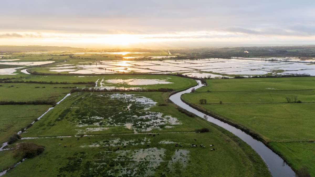 Cours d'eau de la Vire et marais - Normandie