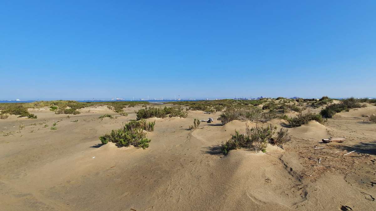 Dune dans le golfe de Fos