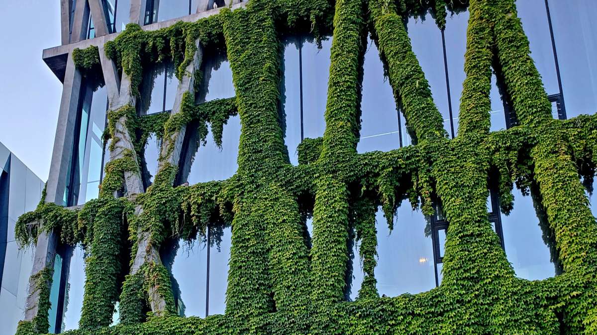 Façade végétalisée