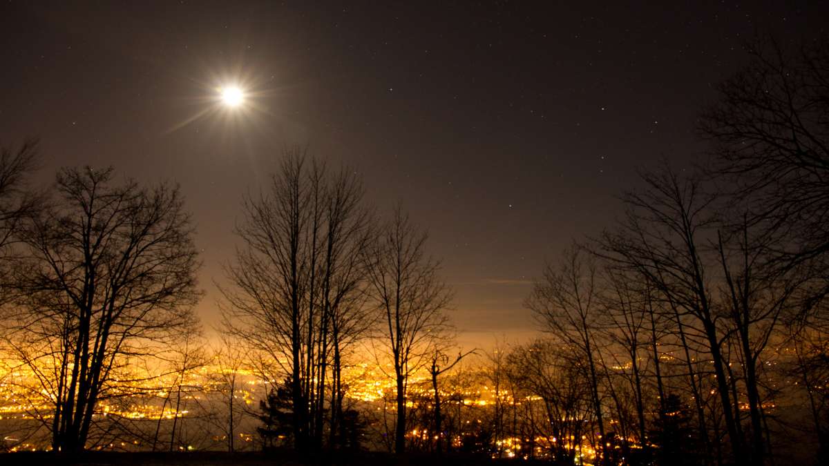 Eclairage nocturne et végétation