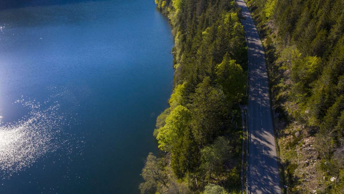 Route dans les Vosges