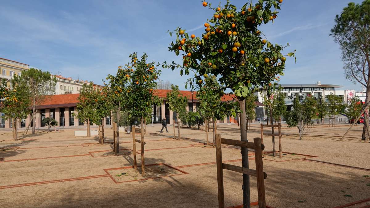 Place végétalisée à Ajaccio