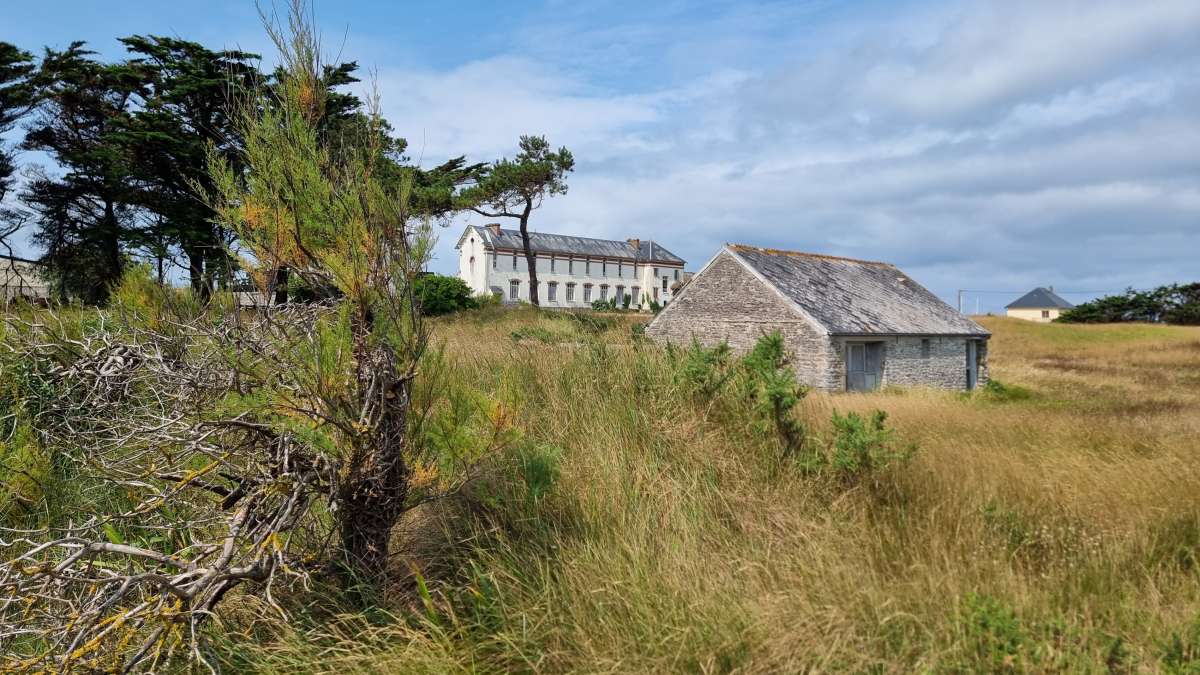 Le domaine des pins - Port Bail sur Mer