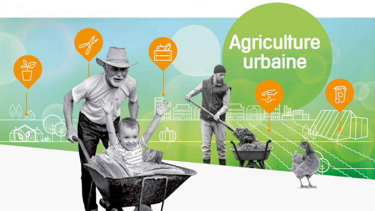 Agriculture urbaine