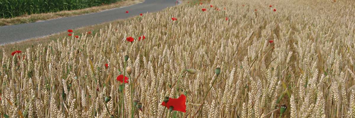 Trame verte et bleue