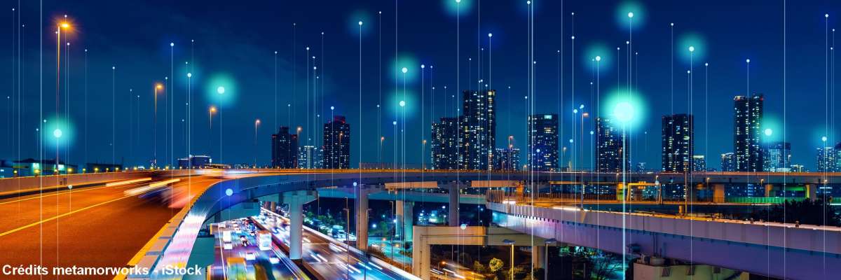 Crédits metamorworks - iStock réf 1315599793