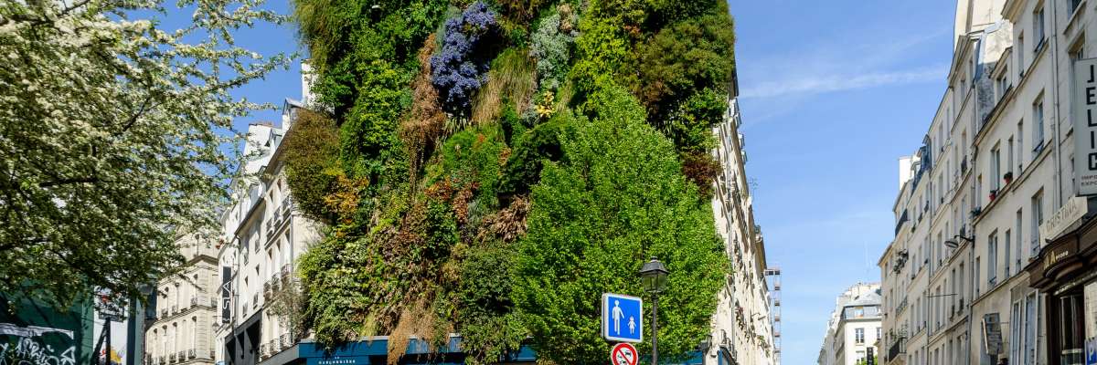 Batiment avec une façade végétalisée dans Paris