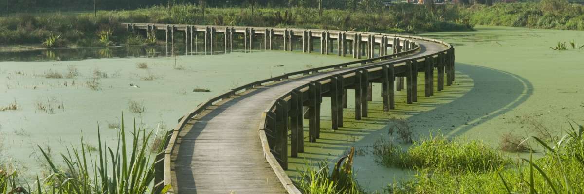 Passerelle sur un étang dans le parc de la Deule dans les Hauts-de-France