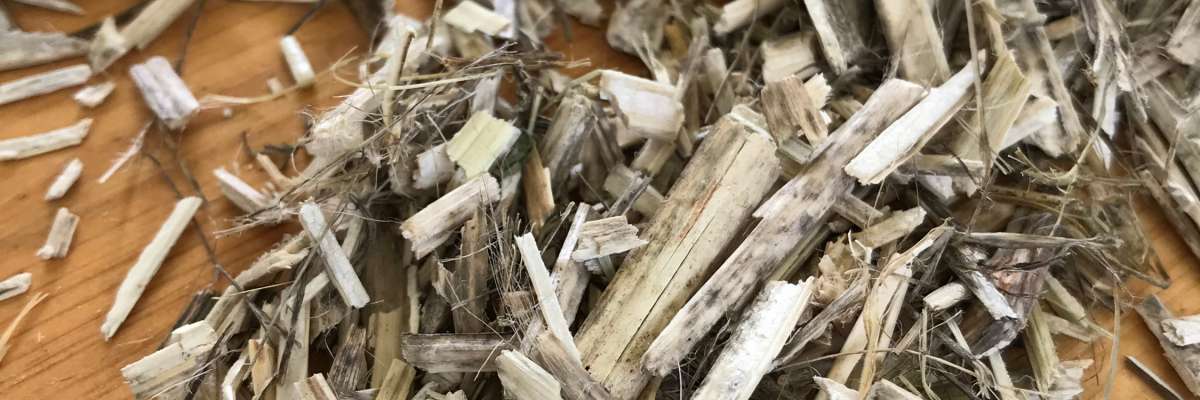 Copeaux qui permettent de faire du béton végétal