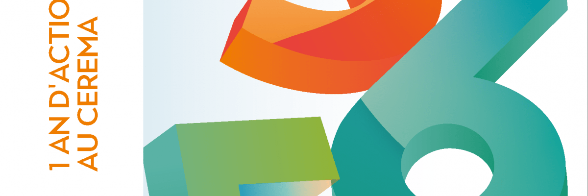 rapport acitivite 2019