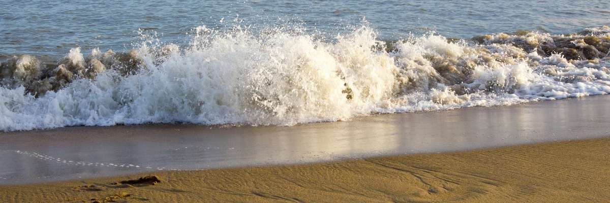 Bord de mer