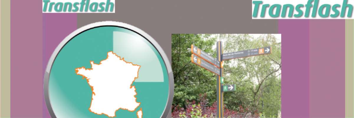 Transflash - Fontenay sous Bois