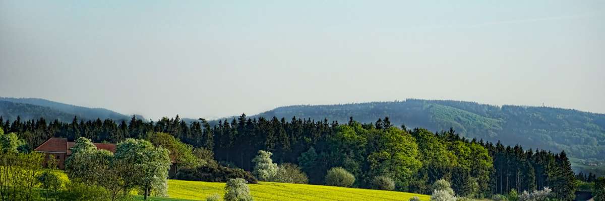 paysage forêt agriculture