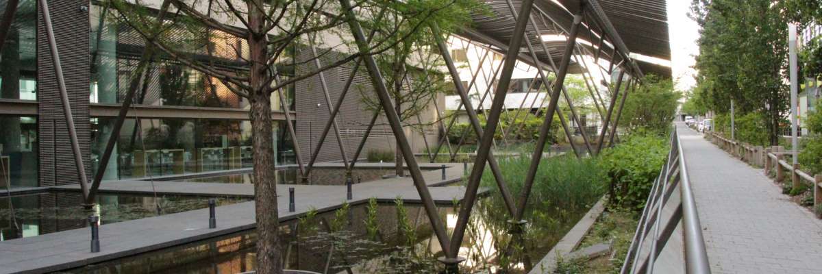 Vue d'une petite zone humide devant un immeuble