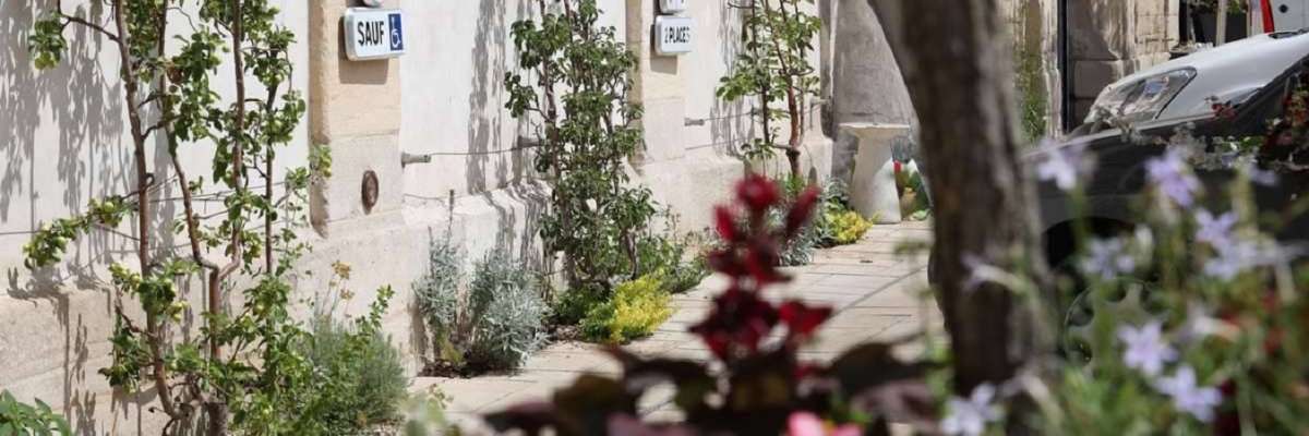 Végétalisation d'une rue de Nancy au niveau d'un trottoir