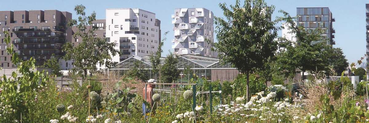 Prairie dans le quartier des docks de St Ouen