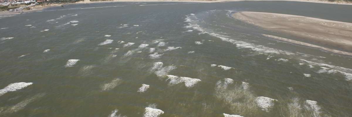 Baie de l'Authie (Hauts-de-France) littoral